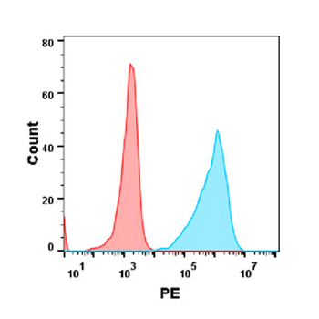 BTLA Biosimilar Antibody
