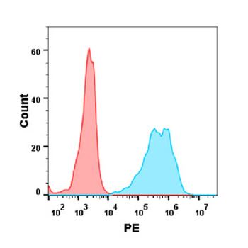 OX40 Biosimilar Antibody