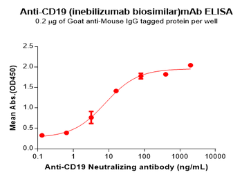 CD19 Biosimilar Antibody