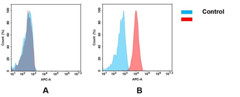 Trastuzumab Biosimilar Antibody, Research Grade (Anti-Her2 / ErbB2)