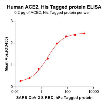 SARS-CoV-2 (Delta) Nucleocapsid, C-His Tag