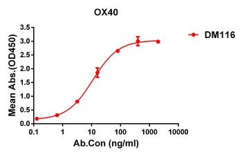 OX40 Antibody