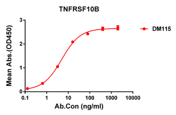 TNFRSF10B Antibody