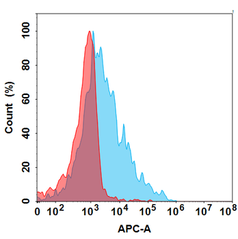 APP Biosimilar Antibody