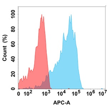 IL21R Antibody