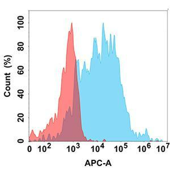 TREM2 Antibody