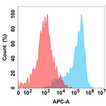 CD24 Antibody