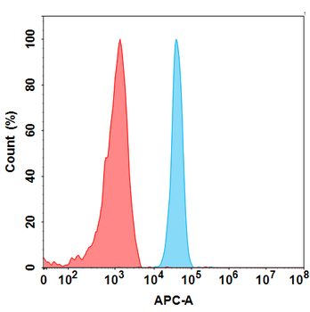 NOTCH3 Biosimilar Antibody