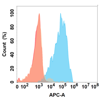 IL5 Antibody