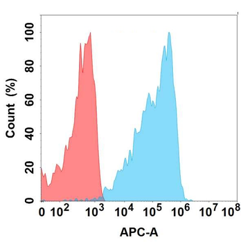 CLEC2D Antibody