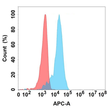 GDNF Antibody