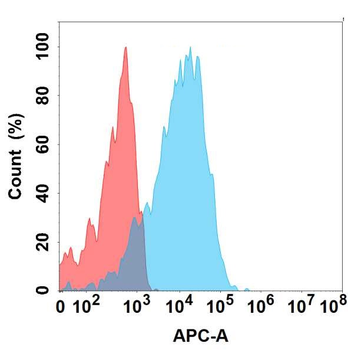 GPR75 Antibody