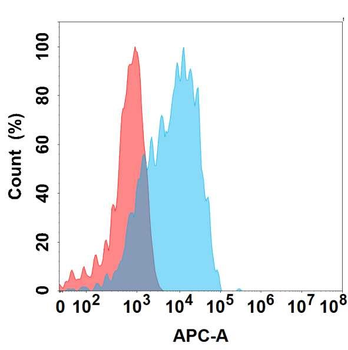 GPR87 Antibody