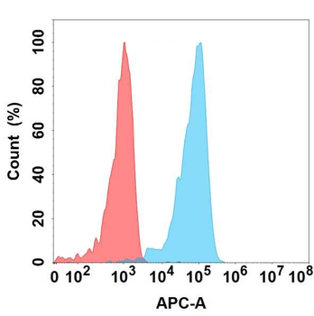 GDF15 Antibody