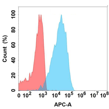 IL22 Antibody