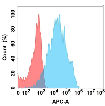 PRLR Antibody