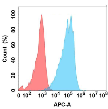 BST1 Antibody
