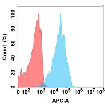 SSTR2 Antibody