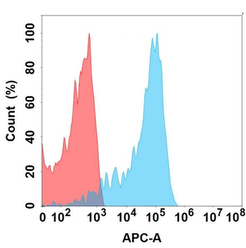 EREG Antibody