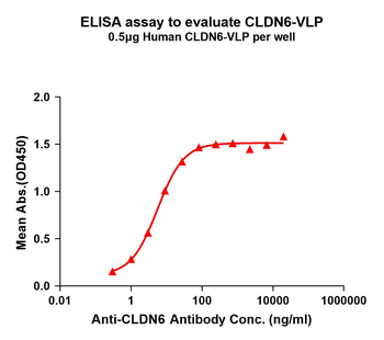 Human CLDN6 full length protein-VLP