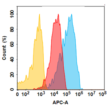 CD166 Biosimilar Antibody