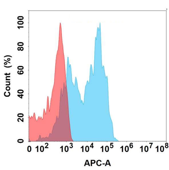 CD79B Antibody