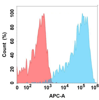 GIPR Antibody