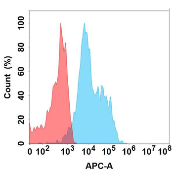 ASGR1 Antibody