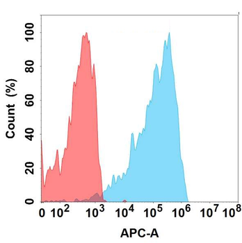 CXCR2 Antibody