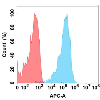 CXCR5 Antibody