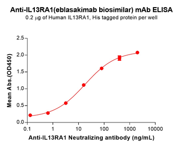 IL13RA1 Biosimilar Antibody