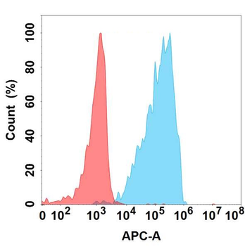 ADAMTS1 Antibody