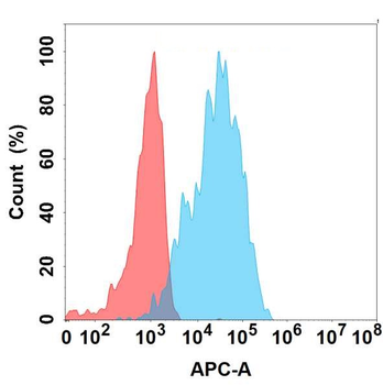PGLYRP1 Antibody