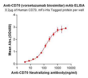 CD70 Biosimilar Antibody