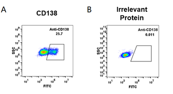 CD138 Biosimilar Antibody