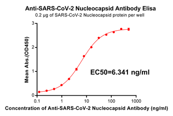 Nucleocapsid Antibody