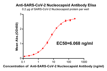 Nucleocapsid Antibody