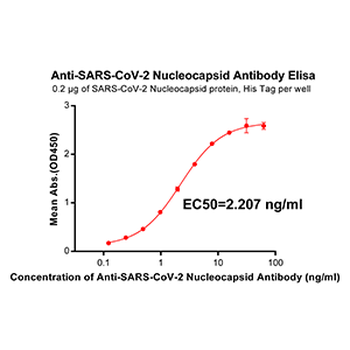 Nucleocapsid Antibody