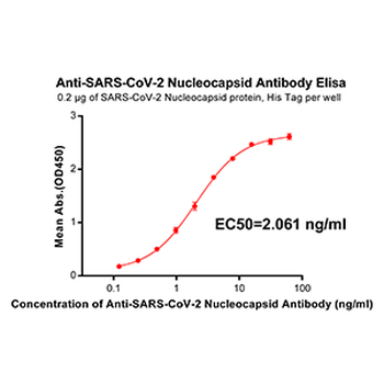 Nucleocapsid Antibody