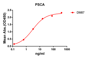PSCA Antibody