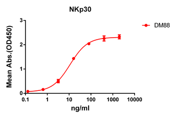 NKp30 Antibody