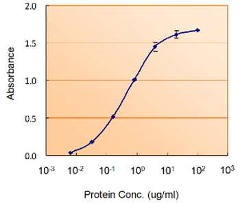 GFAP Antibody