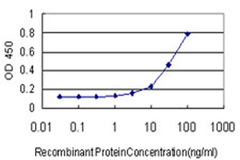 FGF1/Acidic FGF Antibody