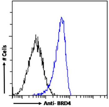 Anti-BRD4 [RAB-C131]