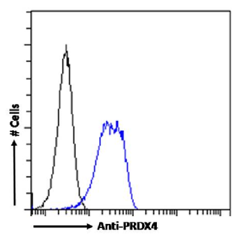 Anti-PRDX4 [SAIC-40C-8]