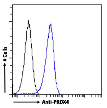 Anti-PRDX4 [SAIC-40A-24]