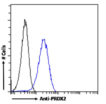 Anti-PRDX2 [SAIC-34B-124]