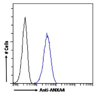 Anti-ANXA4 [SAIC-14C-10F12]