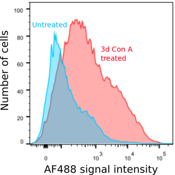 Anti-CD25 [OX-39 ]
