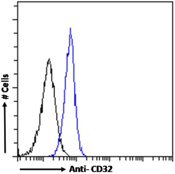 Anti-CD32 [AT130-5]